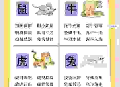 容易卑鄙无耻的生肖有哪些?了解一下!