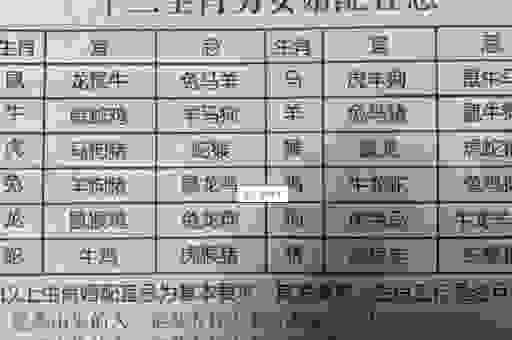为什么说唐突西施是某个生肖?原因在这里!