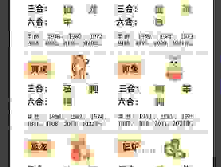 宵旰忧劳是什么生肖？教你快速判断的方法！