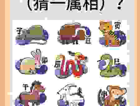 逍遥法外打一个生肖，这个生肖你绝对猜不到。