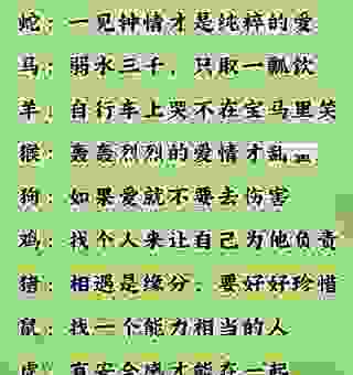 宽以待人是什么生肖？这几个生肖的人最讲情义！