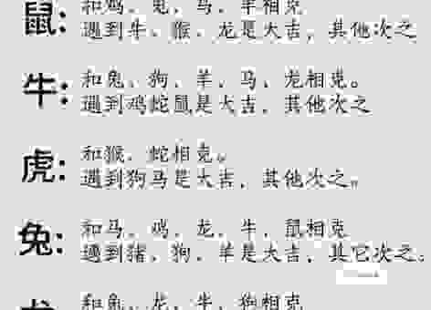 五雀六燕是指什么生肖?这些生肖你可能想不到