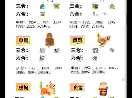 心照不宣的生肖有哪些？这些生肖彼此懂对方
