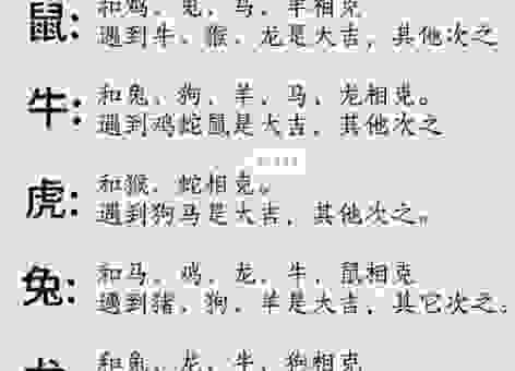 黑家白日是哪个生肖?十二生肖图解告诉你
