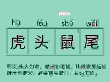 想知道攻其不ếu是什么生肖吗?答案在这里!