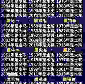 朝九晚五打一生肖，揭秘上班族专属生肖密码！