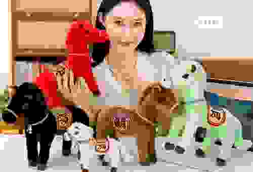 金戈铁马打一生肖的秘密,很多人不知道的答案!