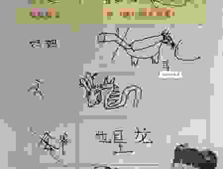 与众不同打一个生肖怎么猜？跟着老一辈人学经验！