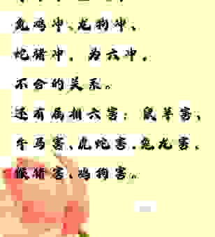有勇无谋是什么生肖?这些生肖总是冲动行事!