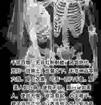 红粉骷髅打一生肖是哪个？老一辈人这样说