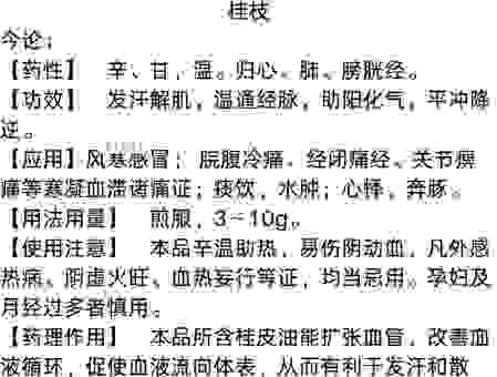 深入解析桂折一枝打一生肖代表什么!