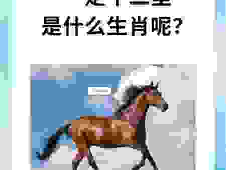 恋恋不舍是什么生肖动物？这个动物总是不肯走！
