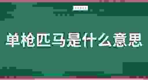 单枪匹马指的是什么生肖?揭秘答案就在这里!