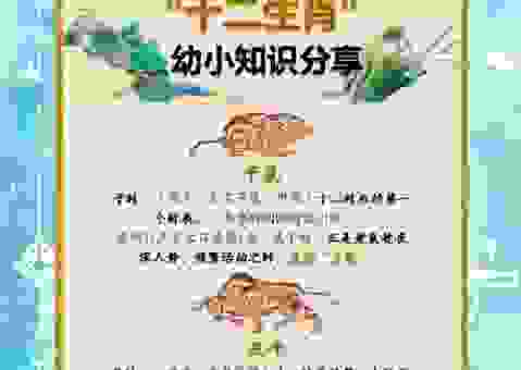层出不穷的生肖含义是什么？看完你就明白了！