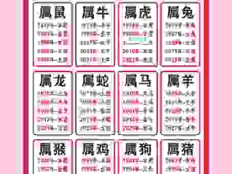 层出不穷的生肖含义是什么？看完你就明白了！