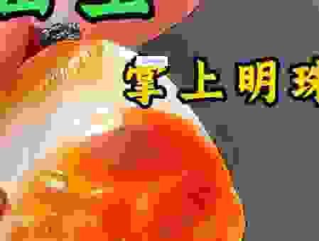 掌上明珠猜一生肖哪个最准？资深人士揭秘玩法！