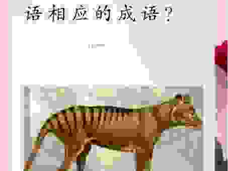 苟延残喘猜一生肖,看看是不是你猜的那一个。