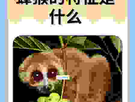 庞然大物指什么生肖？专家解读生肖动物特征