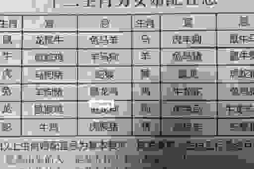 车马填门是什么生肖?看看这几个生肖有没有你!