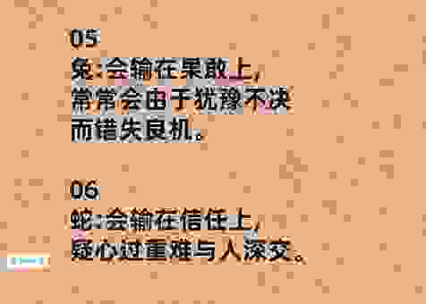 挟山超海是指什么生肖?揭秘这个生肖的神秘面纱