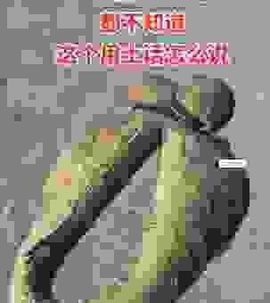 玩物丧志的物是指什么东西?这些行为最容易让人消沉