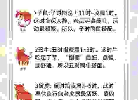 探头缩脑打一最准确生肖解释，带你了解生肖背后的故事！