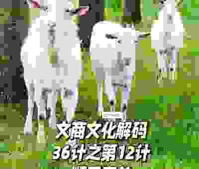 顺手牵羊的意思其实很简单，读完这篇解析你就全明白了