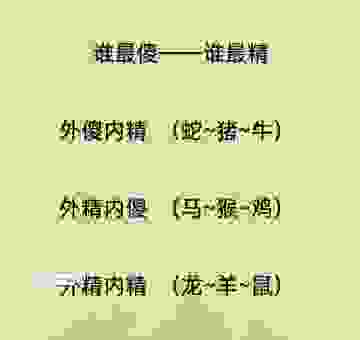 猜猜鼠雀之牙打一正确生肖?快来看看你有没有猜对
