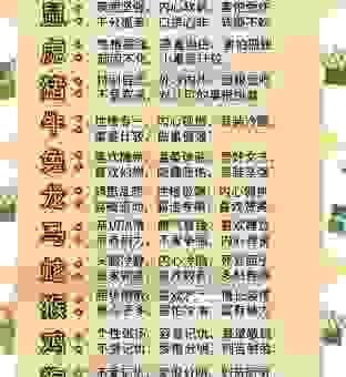 生龙活虎是什么生肖？揭秘背后的生肖含义与性格