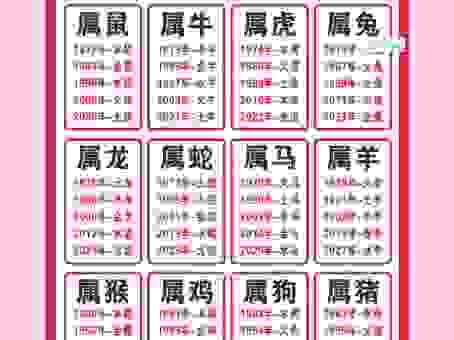 生龙活虎是什么生肖?揭秘背后的生肖含义与性格
