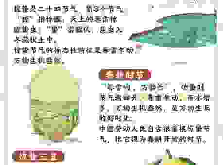 阳和启蛰是什么生肖？一分钟带你搞懂其中的含义！