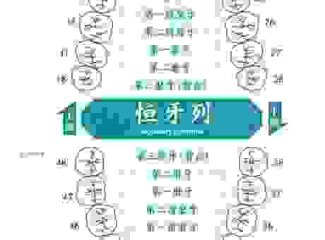 北门南牙的意思是什么？带你快速了解这个词的含义！