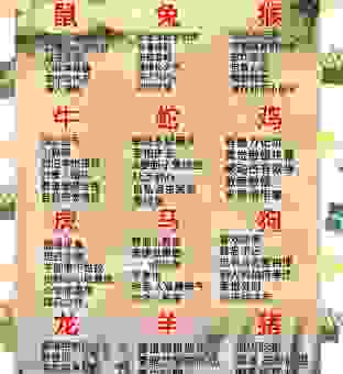 鸥水相依指什么生肖？民间高手带你分析其中的生肖含义