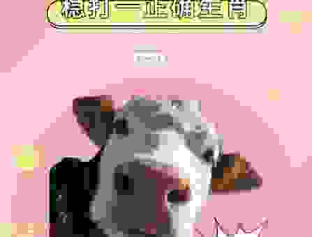 大海一针打一最佳正确生肖,老玩家带你分析生肖内涵
