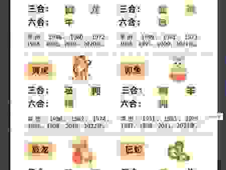 大海一针打一最佳正确生肖，老玩家带你分析生肖内涵