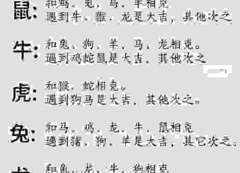 社燕秋鸿打一最准确生肖怎么猜？分享几个简单的生肖思路