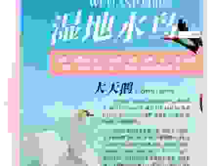 鸥水相依是什么意思?带你深入了解其中的深刻含义