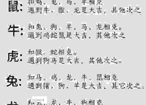 沐雨栉风是什么生肖的代称？深度解析生肖文化！