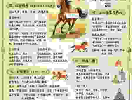 沐雨栉风是什么生肖的代称?深度解析生肖文化!