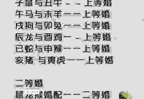 大请大受是指什么生肖？详解这个生肖背后的含义