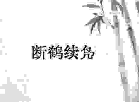 截鹤续凫什么生肖?详解这个生肖背后的寓意与性格