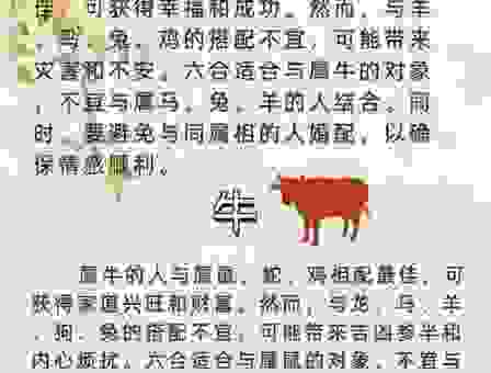 作金石声正确打一肖究竟是谁?三分钟教你快速找准生肖!