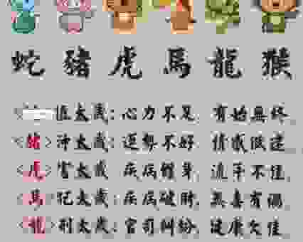 招蜂引蝶是生肖代表什么?深度解析十二生肖背后的内涵!