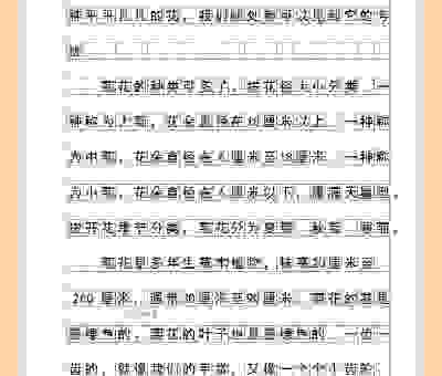 五方杂处是什么意思?一篇文章教你正确掌握其用法!