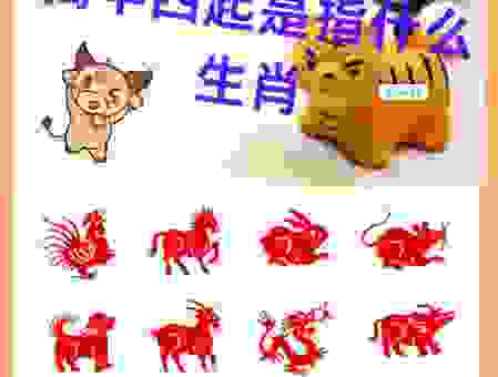 左右开弓最准动物生肖有哪些说法？看懂这些提示就能猜中！
