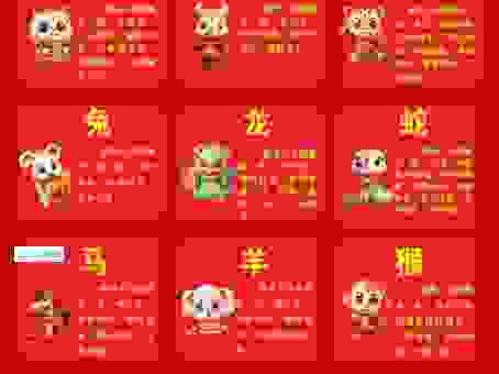 众多非一是指什么生肖?看看这个生肖有什么特别之处!