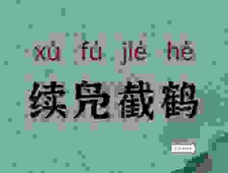 续凫截鹤打一最佳生肖是谁?快来看看这个谜题的正确答案!