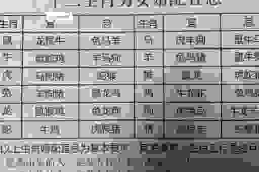 龙生一世打一最佳什么生肖?资深玩家教你如何快速破解!