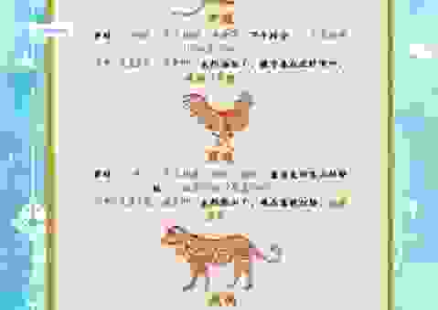 夜夜笙歌是指什么生肖？带你揭开这个生肖背后的谜底！