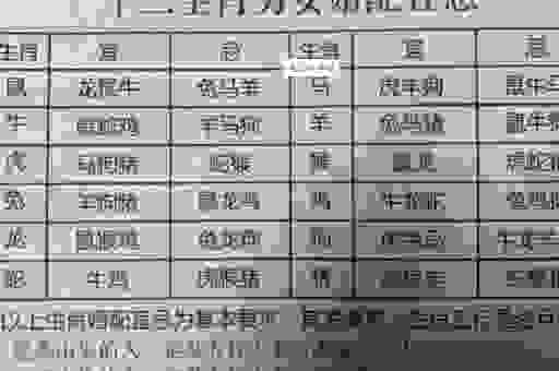 判若鸿沟是什么生肖?老前辈教你如何快速猜出正确生肖。